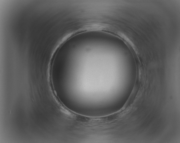 X0000075331477200609081045