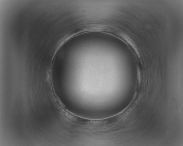 X0000075331481200609081045