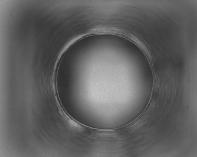 X0000075331486200609081045