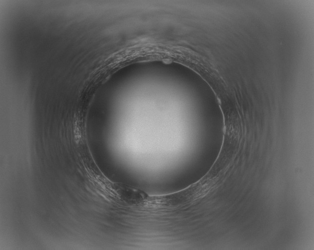 X0000075331490200609081044