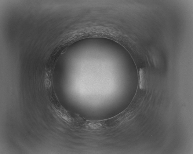 X0000075331491200609081044