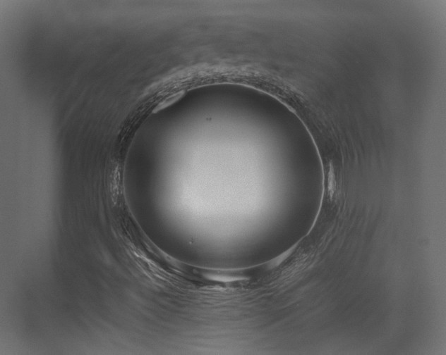 X0000075331492200609081044