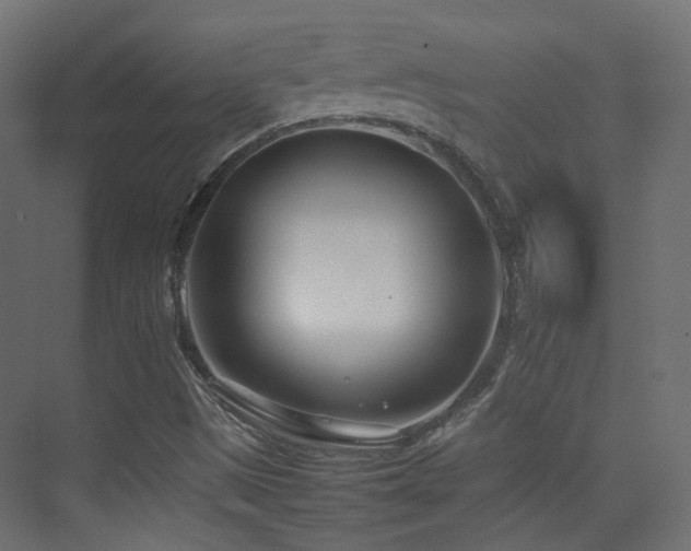X0000075331497200609081044