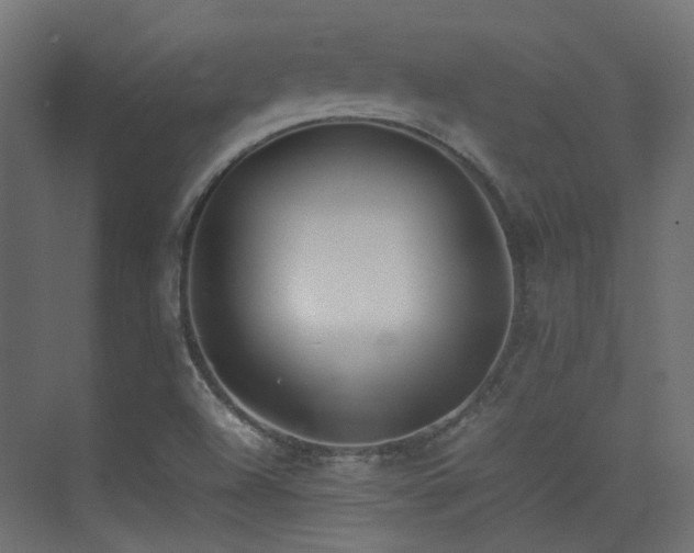 X0000075331504200609081044