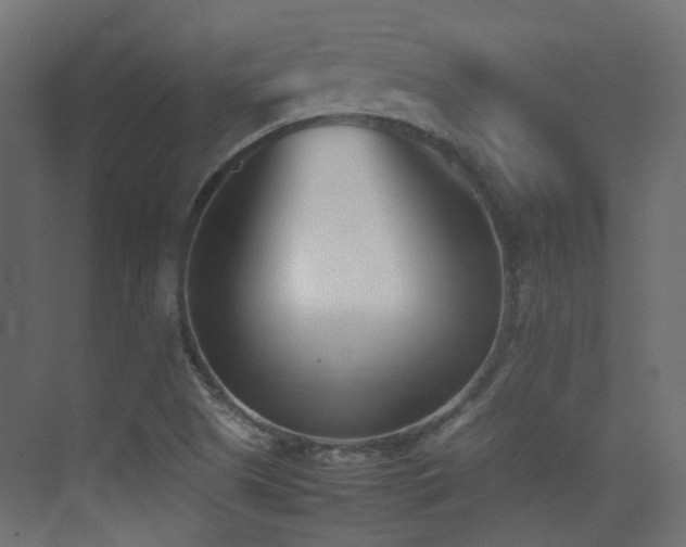 X0000075331505200609081044