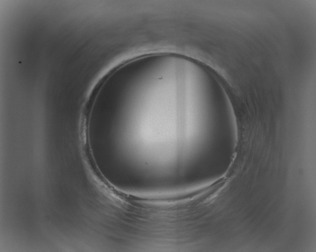 X0000075331510200609081044
