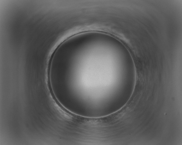 X0000075331512200609081044