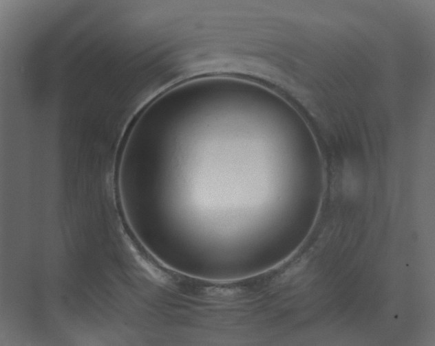 X0000075331513200609081044