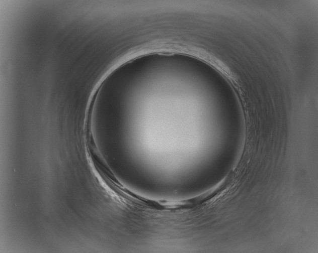 X0000075331536200609081044