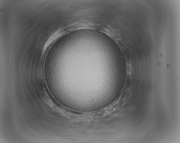 X0000075330004200609151458