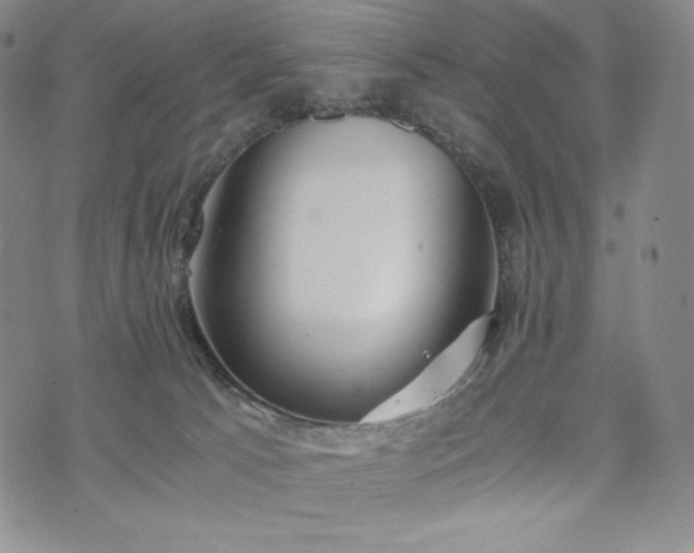 X0000075330033200609151457