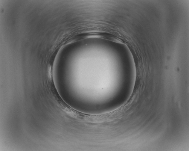 X0000075330041200609151457
