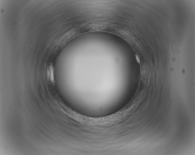 X0000075330046200609151457