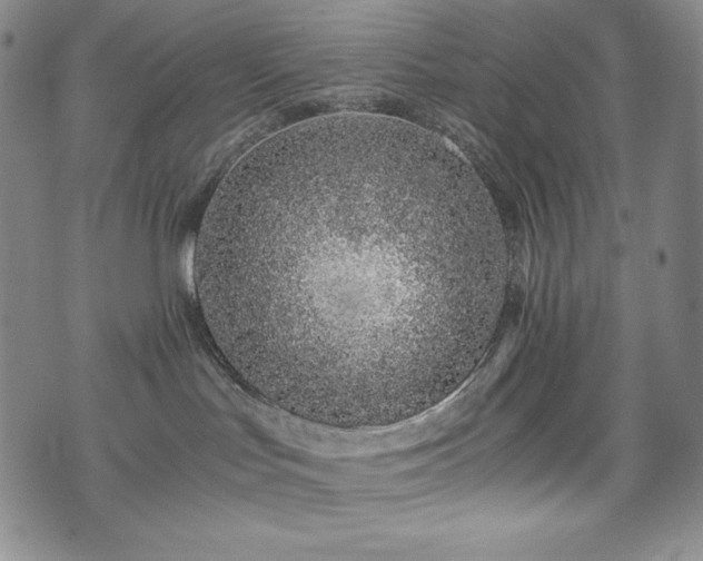 X0000075330047200609151457