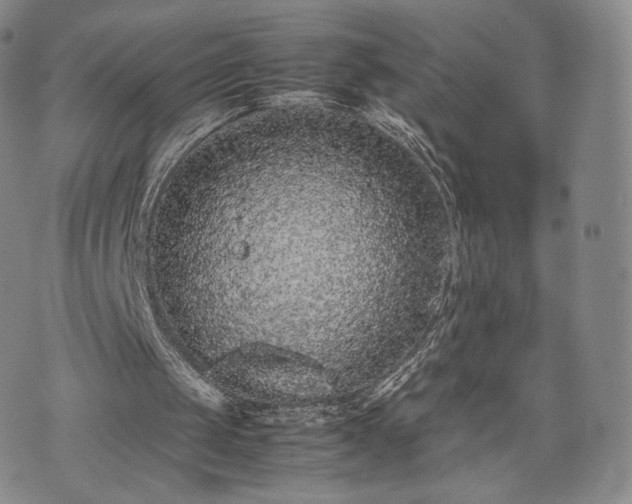 X0000075330049200609151456