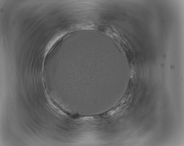 X0000075330052200609151456