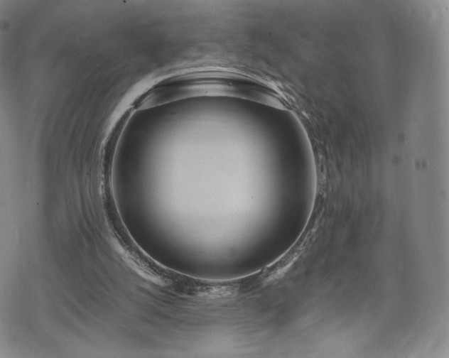 X0000075330056200609151456