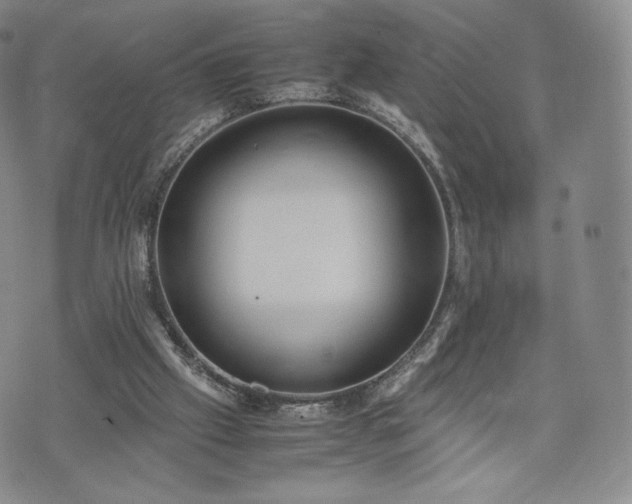 X0000075330057200609151456