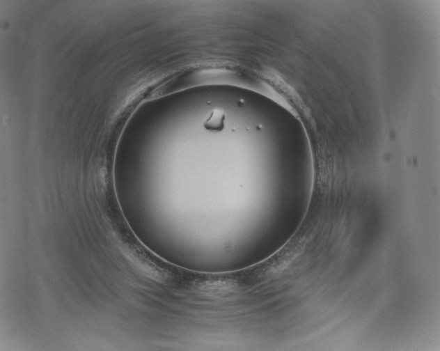 X0000075330063200609151456