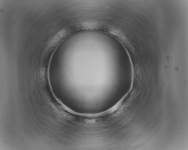 X0000075330066200609151456