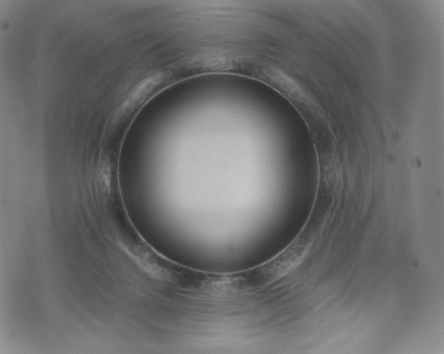 X0000075330072200609151456