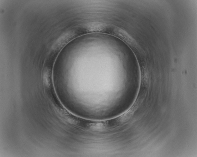 X0000075330074200609151457