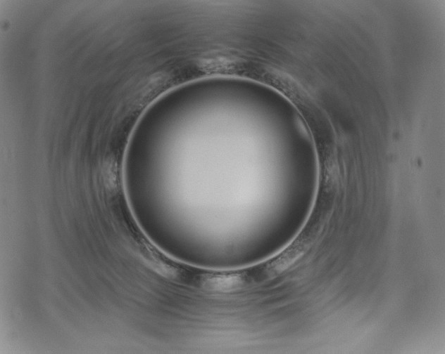 X0000075330081200609151457