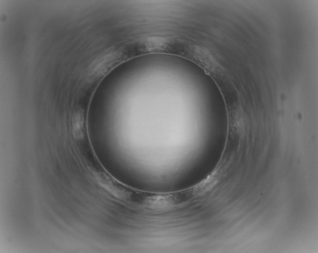 X0000075330082200609151457