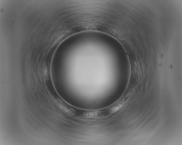 X0000075330084200609151457