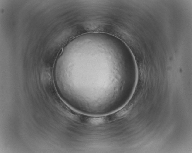 X0000075330085200609151457