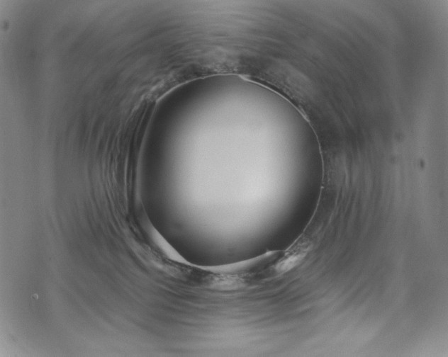 X0000075330088200609151457