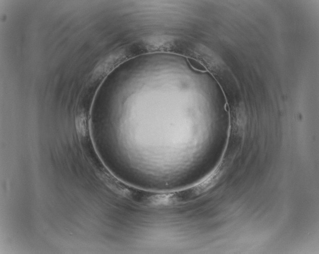 X0000075330090200609151457
