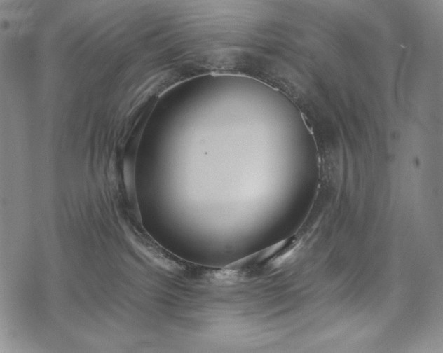 X0000075330092200609151457