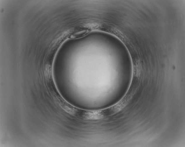 X0000075330093200609151457