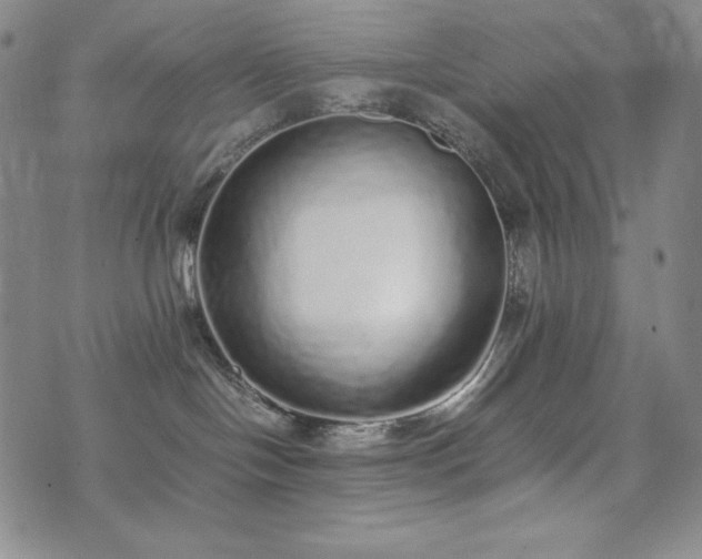 X0000075330094200609151457