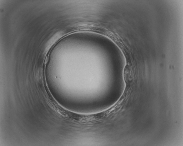 X0000075330099200609151456