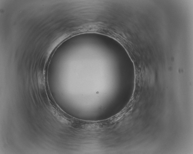 X0000075330100200609151456