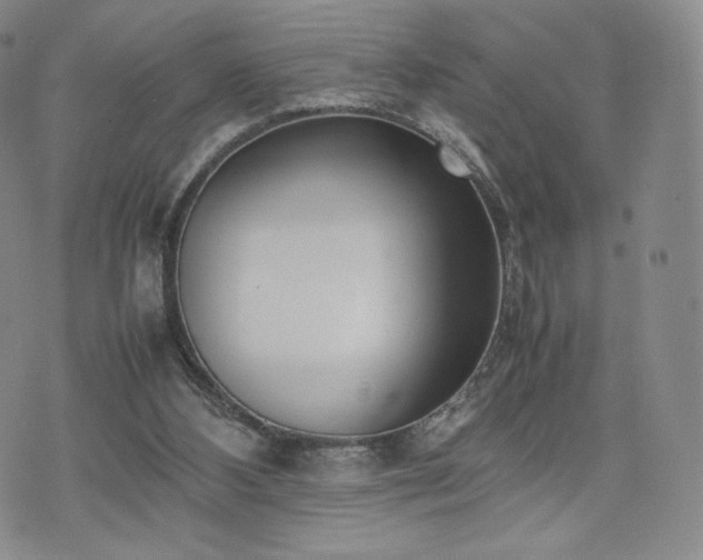 X0000075330108200609151456