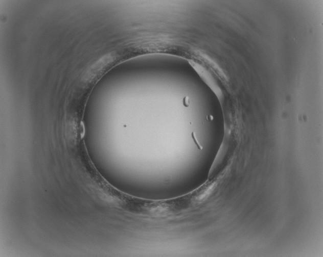 X0000075330113200609151456