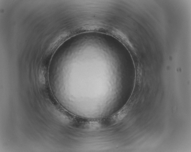 X0000075330114200609151456