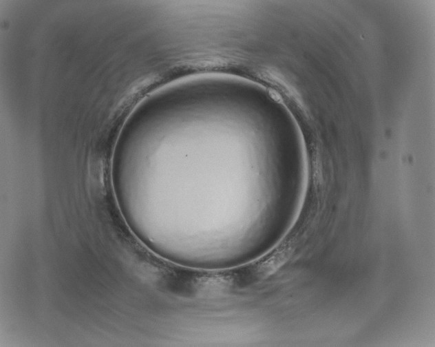 X0000075330115200609151456