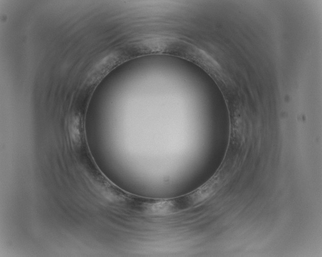 X0000075330122200609151456