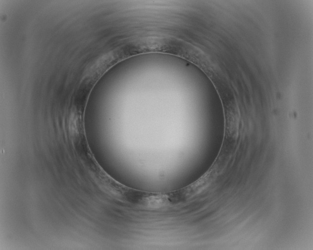 X0000075330126200609151456
