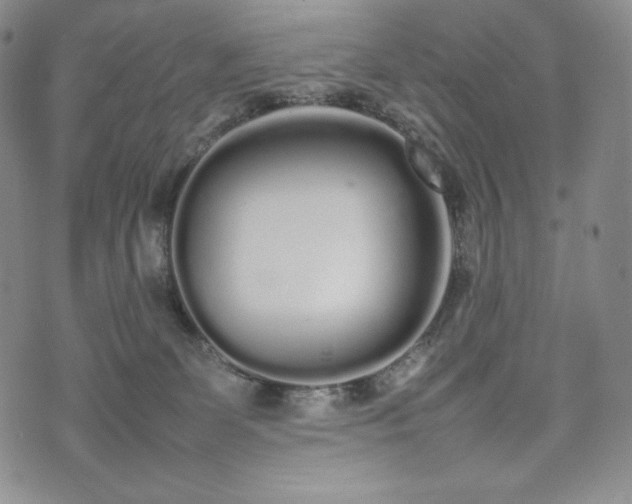 X0000075330131200609151456