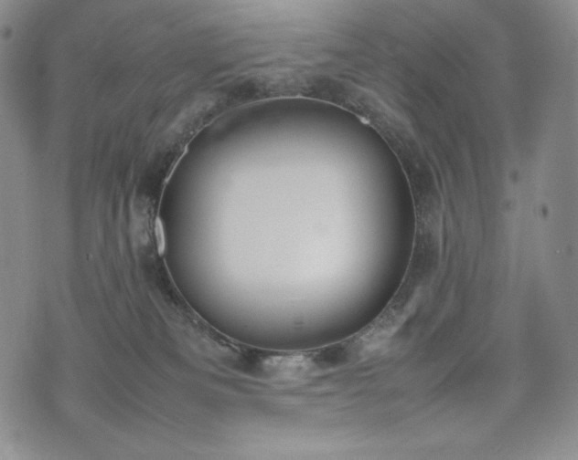 X0000075330133200609151456