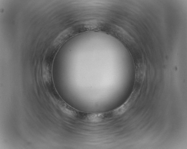X0000075330136200609151455