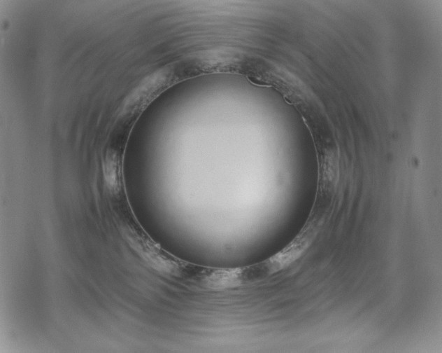 X0000075330138200609151455