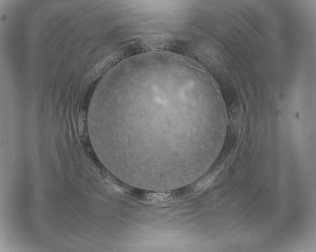 X0000075330139200609151455