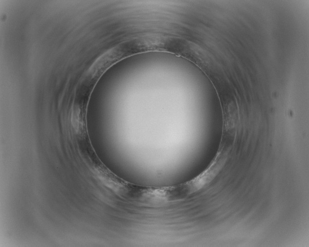 X0000075330140200609151455