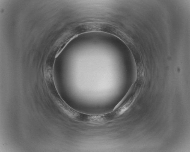 X0000075330141200609151455